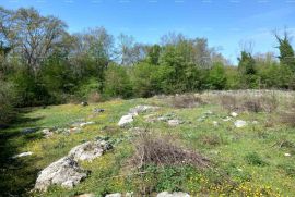 Građevinsko zemljište Prodaja građevinskog zemljišta za izgradnju samostojeće ili duplex kuće, blizina Sv.Lovreča!, Sveti Lovreč, Land