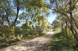 POLIČNIK, ZADAR - Poljoprivredno zemljište s izvorom pitke vode, Poličnik, Terreno