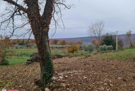 LABIN, MARTINSKI, GRAĐEVINSKO ZEMLJIŠTE, Sveta Nedelja, Land