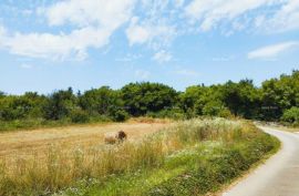 Građevinsko zemljište Prodaje se građevinsko zemljište, 504 m2, vile s bazenom u općini Svetvinčenat, Svetvinčenat, Arazi