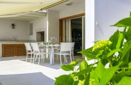 Atraktivna vila u Novigradu, Novigrad, House