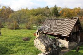 Veliko zemljište sa starinom u okolici Pazina, Pazin - Okolica, Σπίτι