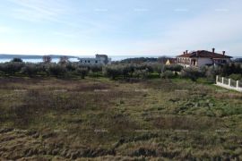 Stan Apartman s krovnom terasom - Residencija Novi Home Novigrad, Novigrad, شقة