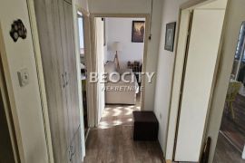 Novi Sad, Detelinara, Veselina Masleše, 2.0, 53m2, Novi Sad - grad, Appartement