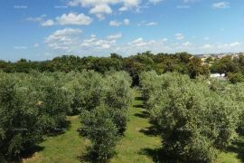 Kuća Prekrasna kuća sa bazenom i pogledom na more, blizina Fažane!, Fažana, Famiglia