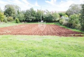 Poreč, okolica, zemljište idejnim rješenjem za 9 kuća, Poreč, Arazi