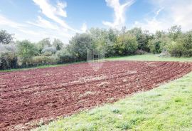 Poreč, okolica, zemljište idejnim rješenjem za 9 kuća, Poreč, Arazi