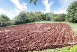 Poreč, okolica, zemljište idejnim rješenjem za 9 kuća, Poreč, Arazi