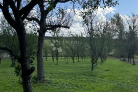 Prostrana kuća sa poslovnim prostorom, Veliki Grđevac, Famiglia