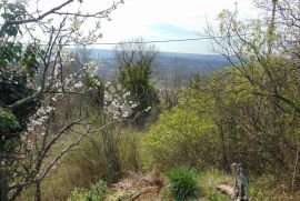 Izvrsno građevinsko zemljište na prekrasnoj lokaciji, Buje, Land