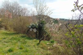 Izvrsno građevinsko zemljište na prekrasnoj lokaciji, Buje, Land