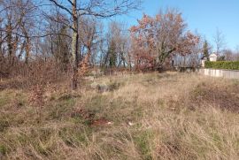 Zemljište po mjeri u Žminju - 500m od Centra, Žminj, Terrain