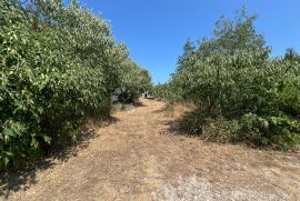 VRSI ZADAR -  KUĆA ZA RENOVIRANJE SA VELIKIM GRAĐEVINSKIM ZEMLJIŠTEM, Nin, Maison