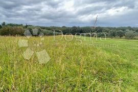 POLJOPRIVREDNO ZEMLJIŠTE 250M OD MORA - Banjole, Medulin, Terrain