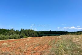 Građevinsko zemljište Vižinada, Vižinada, أرض