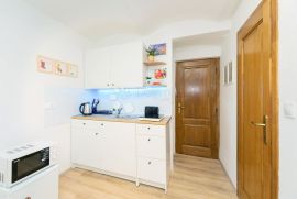 Apartman 20 m2 -na Ribnjaku u dnevnom najmu!!, Zagreb, Stan