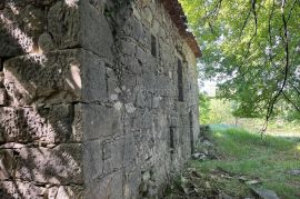 STARINA SA POTENCIJALOM ZA ODLIČAN PRIHOD, Lupoglav, Kuća