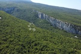 STARINA SA POTENCIJALOM ZA ODLIČAN PRIHOD, Lupoglav, Kuća