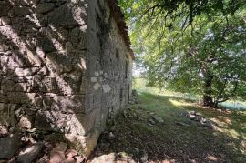 STARINA SA POTENCIJALOM ZA ODLIČAN PRIHOD, Lupoglav, Kuća