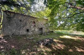 STARINA SA POTENCIJALOM ZA ODLIČAN PRIHOD, Lupoglav, Kuća