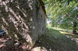 STARINA SA POTENCIJALOM ZA ODLIČAN PRIHOD, Lupoglav, Kuća