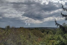 Velika građeviska parcela, voćnjak, 2bunara, Gvozd, Kuća