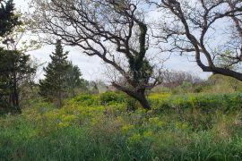 Pag, građevinsko zemljište sa pogledom na more!, Novalja, Land