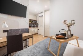 Najam studio apartmana u centru grada Rijeke, Rijeka, Stan