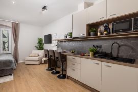 Najam studio apartmana u centru grada Rijeke, Rijeka, شقة