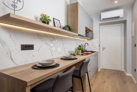 Najam studio apartmana u centru grada Rijeke, Rijeka, Stan