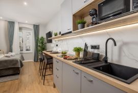 Najam studio apartmana u centru grada Rijeke, Rijeka, Appartment