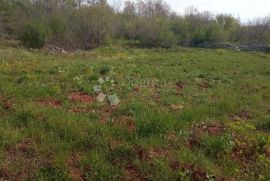 Veliko građevinsko zemljište, Svetvinčenat, Land