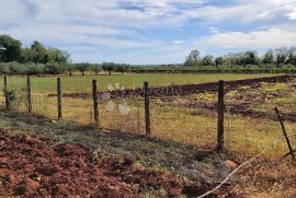 Prekrasno imanje u Marčani, Marčana, Terreno