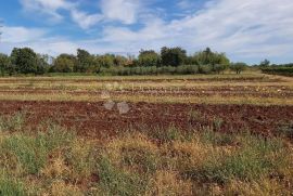 Prekrasno imanje u Marčani, Marčana, Terreno