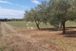 Prekrasno imanje u Marčani, Marčana, Terreno