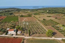 ZEMLJIŠTE S GRAĐEVINSKOM DOZVOLOM 800 METARA OD PLAŽE, Rovinj, Земля