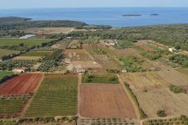 ZEMLJIŠTE S GRAĐEVINSKOM DOZVOLOM 800 METARA OD PLAŽE, Rovinj, Земля