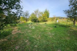 Novouređena velika kuća sa pomoćnim objektom i velikim dvorištem, Oroslavje, House