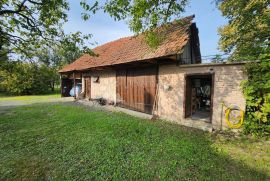 Novouređena velika kuća sa pomoćnim objektom i velikim dvorištem, Oroslavje, House