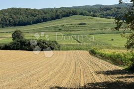 Seosko imanje sa kućom, okućnicom i zemljištem, Šandrovac, Σπίτι