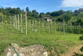 Šarmantna vikendica sa prekrasnim vinogradom, Gornji Kneginec, بيت