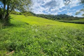 Kuća sa pomoćnim objektom i 7.438m² okućnice 4 min od Krapinskih Toplica!, Krapinske Toplice, Дом