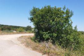 CUKRIĆI, SVETVINČENAT - PROSTRANO POLJOPRIVREDNO ZEMLJIŠTE, Svetvinčenat, Terrain