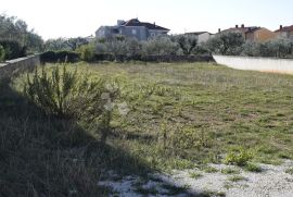 GRAĐEVINSKO ZEMLJIŠTE U PEROJU ZA VILU ILI STANOVE, Vodnjan, Terrain