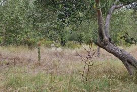 PRODAJA KUĆE U TISNOM- VISOKI ROHBAU, Tisno, Σπίτι