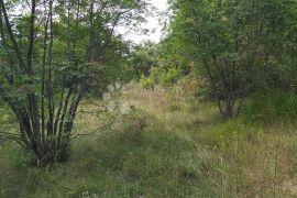 Prostrano zemljište pravilnog oblika na kraju sela, Barban, Terrain