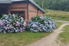 Obiteljska kuća u Starigradu, Koprivnica: Vaša oaza mira, Koprivnica - Okolica, Famiglia