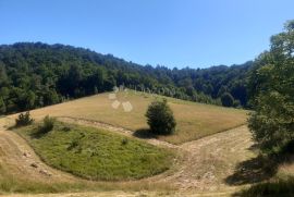 Imanje u Vrbovskom,  kuće,  šuma i livade., Vrbovsko, Casa