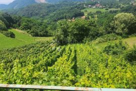 Kljet 50m² sa vinogradom u okolici Pregrade, Pregrada, Maison