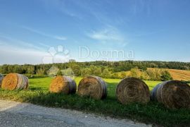 Veliko imanje u srcu Bilogore, Velika Pisanica, Kuća